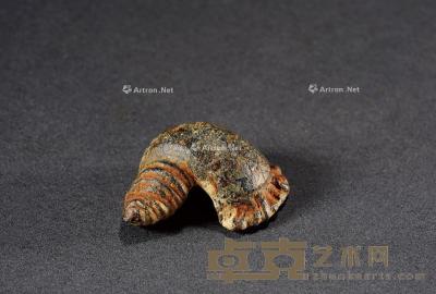  西周·大型仿生青铜螺贝币 通长33.4mm