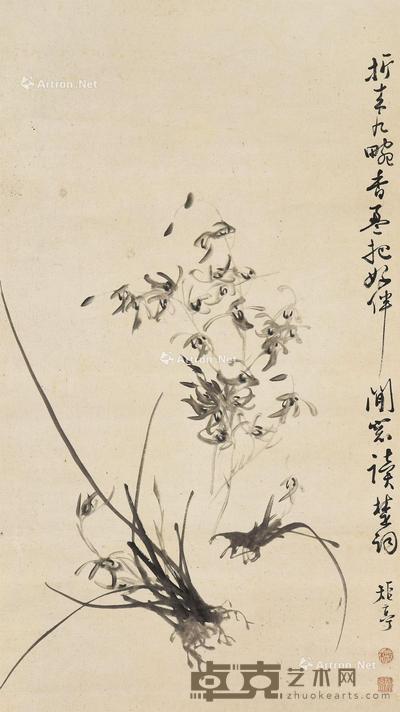  兰花 立轴 水墨纸本 80.5×45.5cm