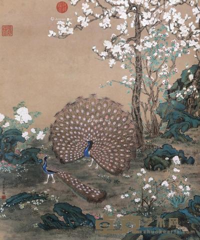 孔雀 立轴 纸本 60×50cm