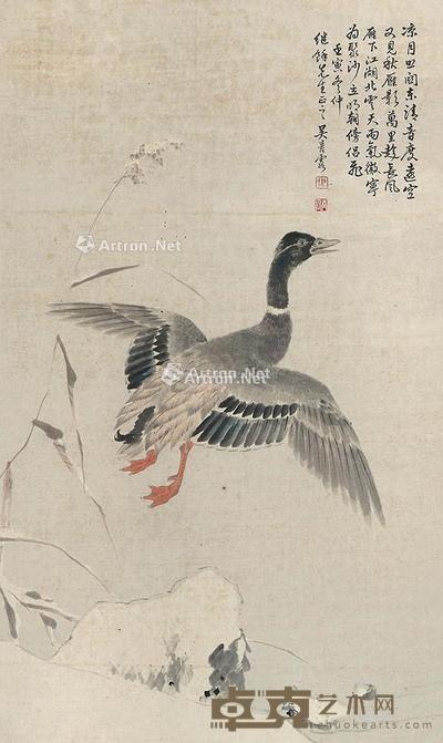 大雁 立轴 纸本 84×50cm