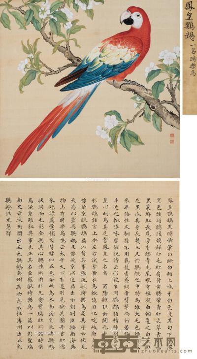* 凤皇鹦鹉 镜框 设色绢本 41×41cm