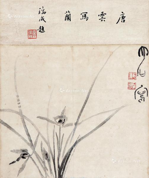  墨兰 立轴 水墨纸本