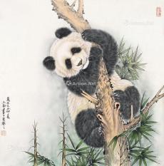  熊猫 软片 纸本