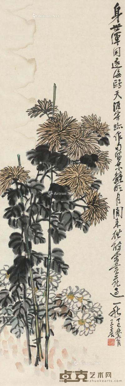  丁巳（1917）年作 秋菊 立轴 设色纸本 136.5×45cm