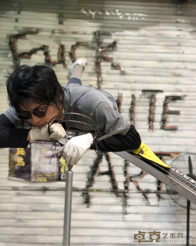 《平衡鸟4》 童昆鸟 尺寸可变 2018年 综合材料