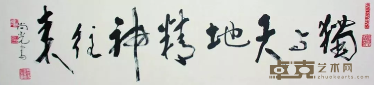 《独与天地精神往来》 温尚光 35x135cm