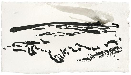 Maggi Hambling_Covehithe， late afternoon_Ink on paper_16x29cm_2005