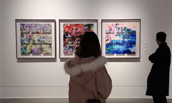 傅文俊数绘摄影个人展览在重庆美术馆举行