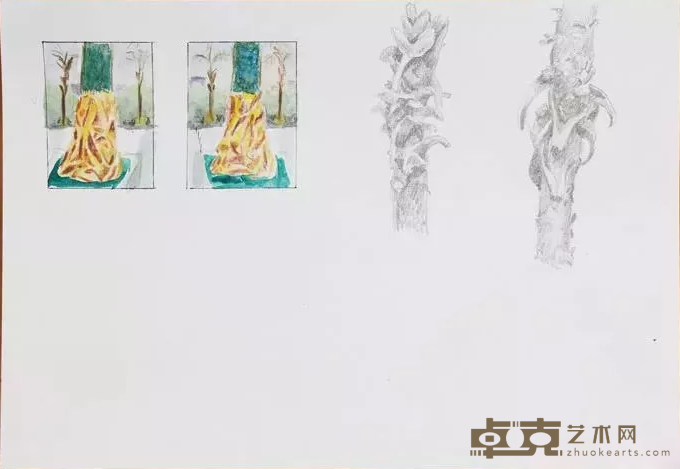《艺术家手稿》 Ingo Baumgarten