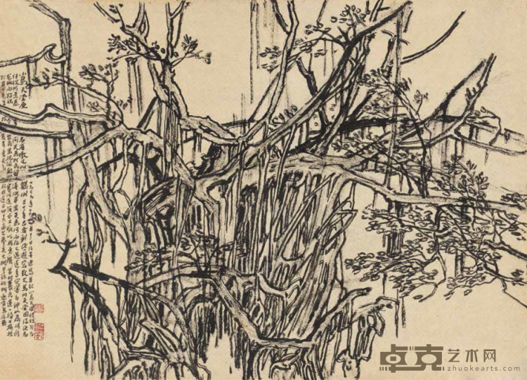 《榕树写生稿之一》 张治安 27x38cm 1979年 纸本·水墨