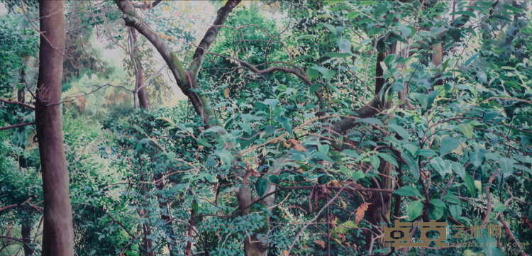 《枝叶婆娑》 蒋国蓉 50x100cm 2016年 布面油画