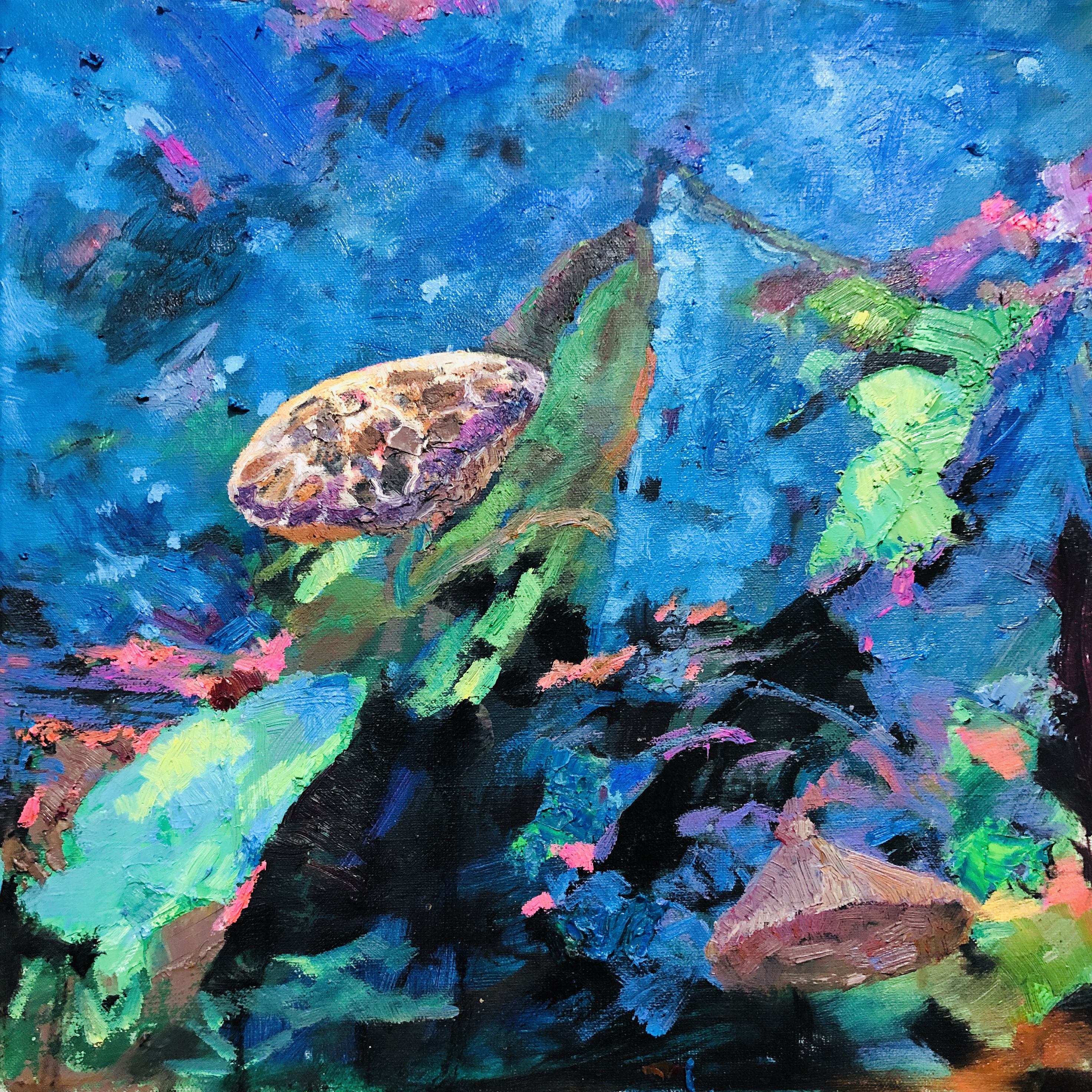 《莲》40x40cm
