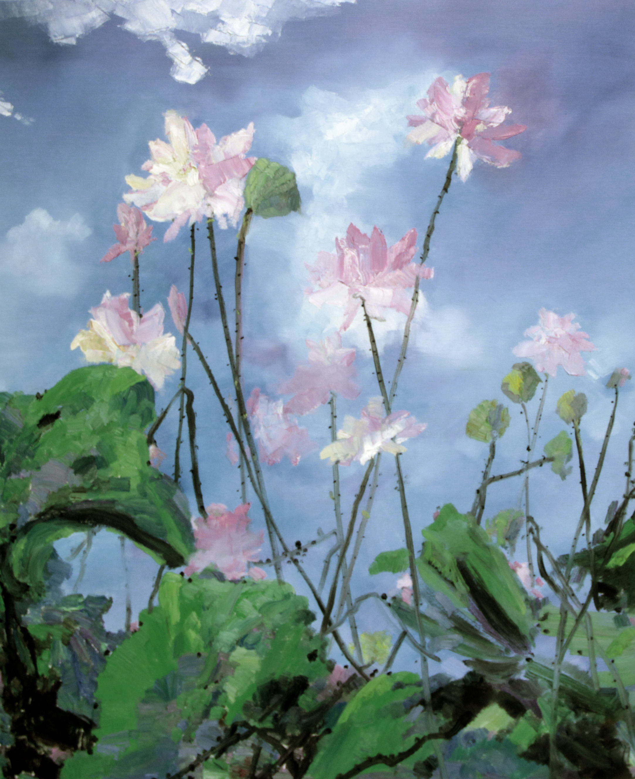 《夏天的云》