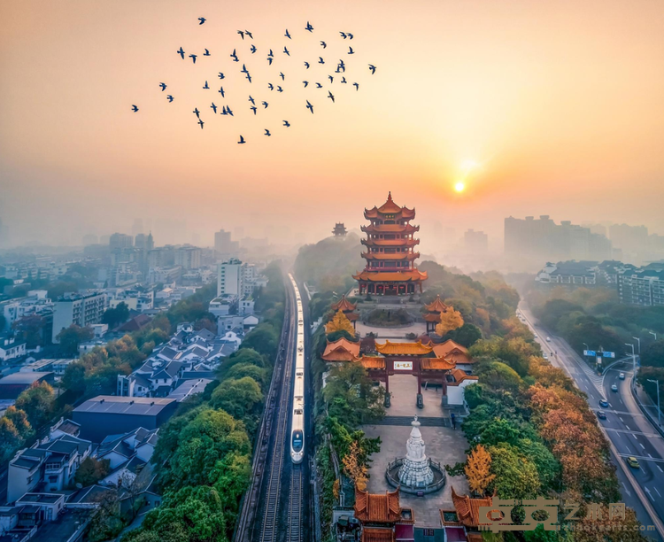 《黄鹤的故乡》 汪长青