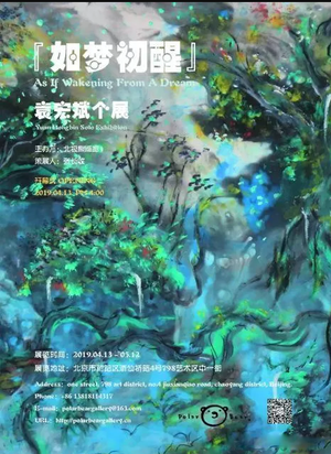 “如梦初醒”袁宏斌个展