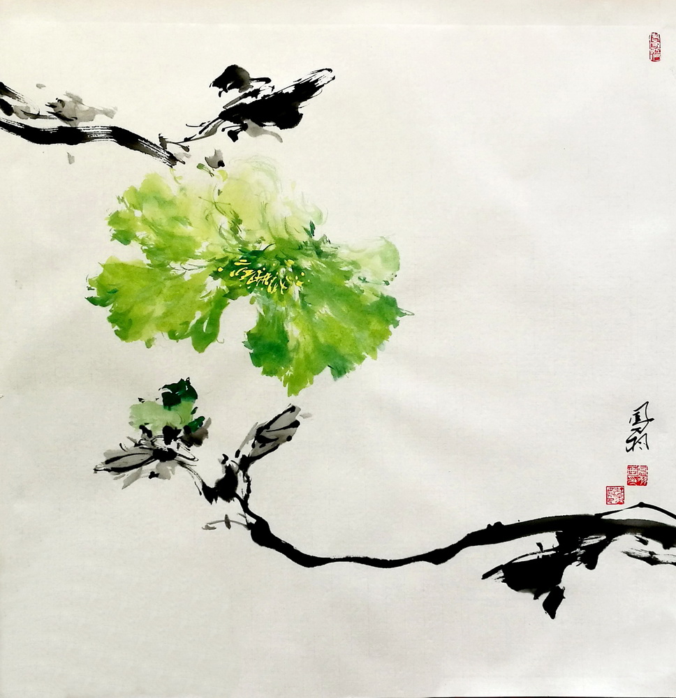 绿牡丹