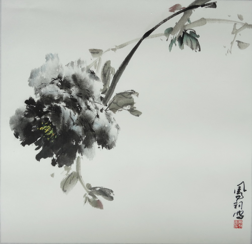 牡丹图