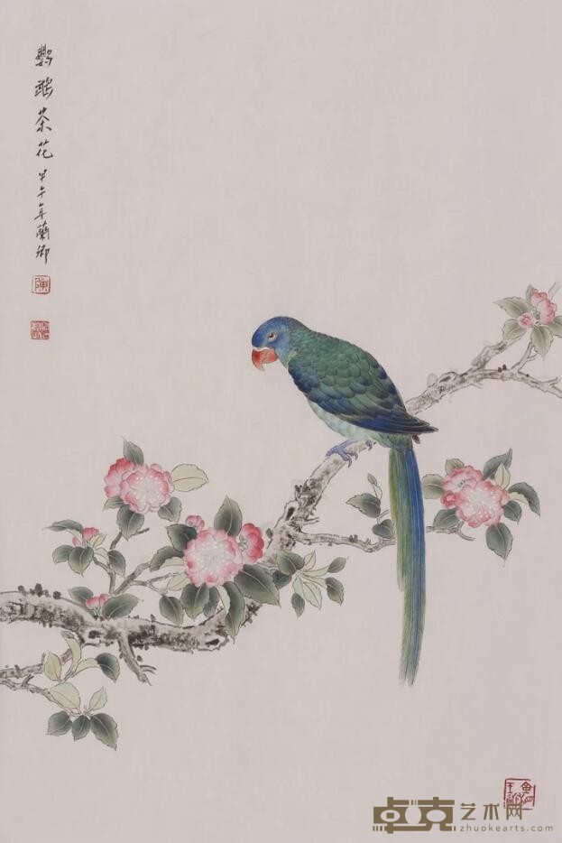 《鹦鹉茶花》 陈兰卿 45x70cm 2014年