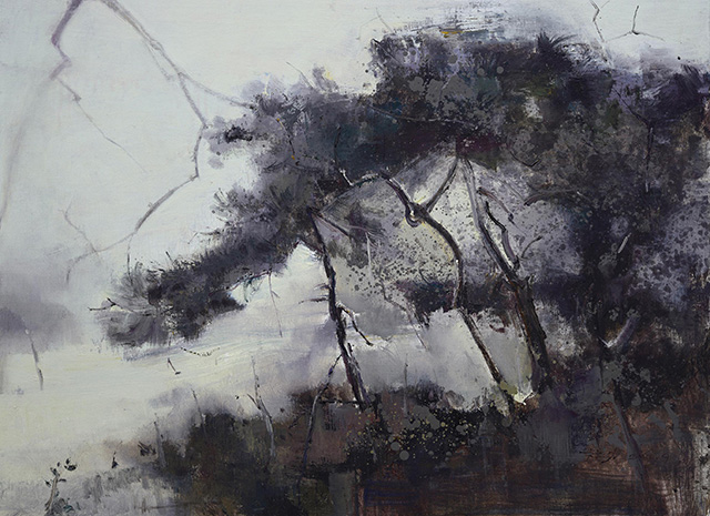杜力 黑松 布面油画 60×80cm 2011年