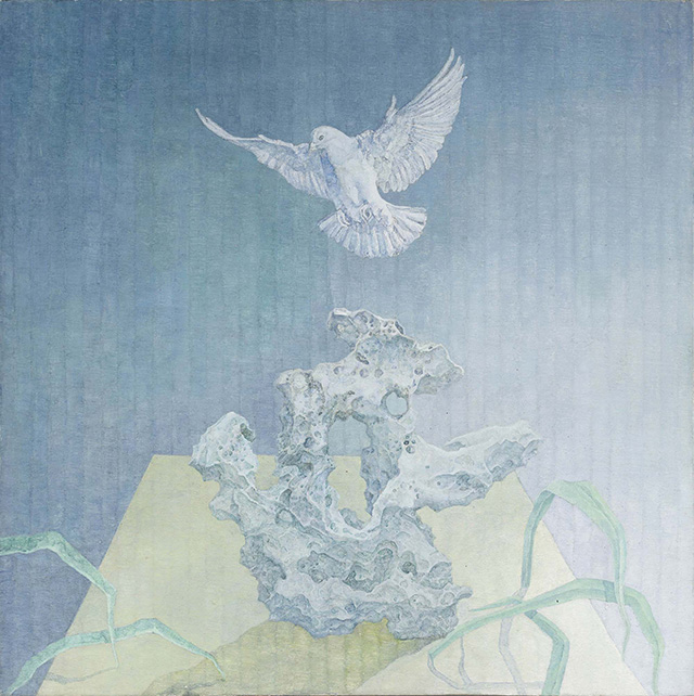 杨思明 布面油画 鸽子7号 60×60cm 2017年