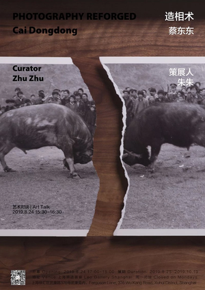 “造相术”蔡东东个展