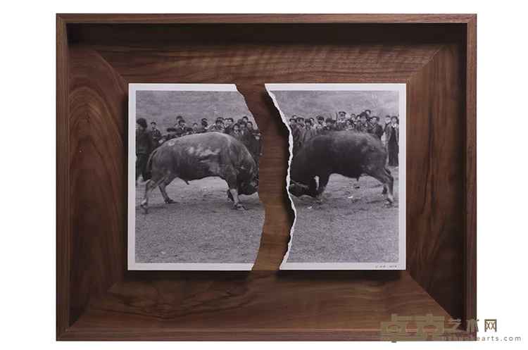 《斗牛 Bullfighting》 蔡东东 59x46.5cm 2018年 明胶卤化银照片 Silver gelatin print