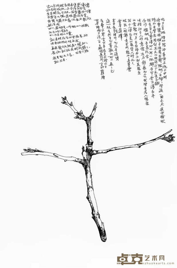 开花之枝，57x38cm，纸本手绘，2012 王轶琼