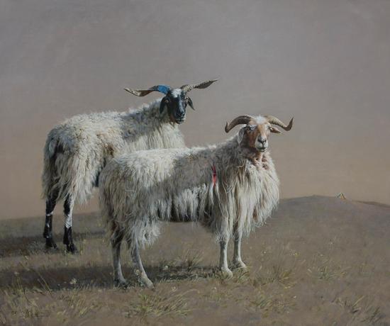 藏羊和经幡