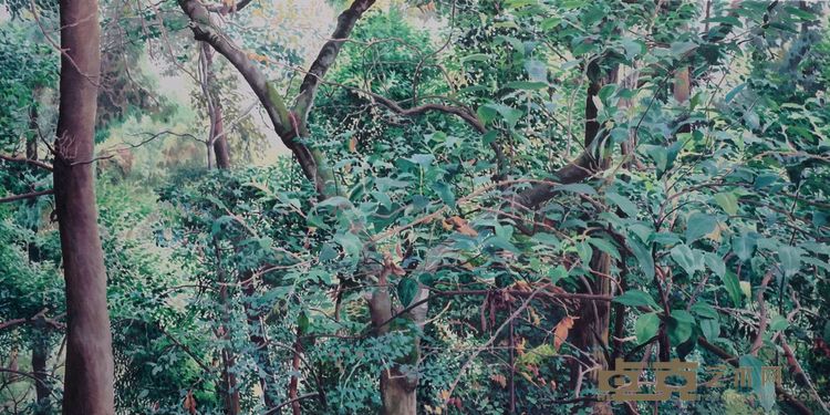 《枝叶婆娑》 蒋国蓉 50x100cm 2016年 布面油画