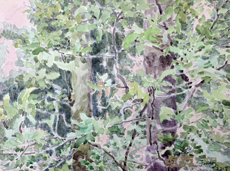 《树林1706》 蒋国蓉 24x32cm 2017年 纸上作品 水彩