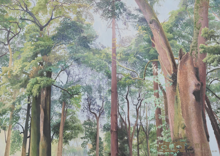 《苍翠》 蒋国蓉 150x210cm 2015年 布面油画