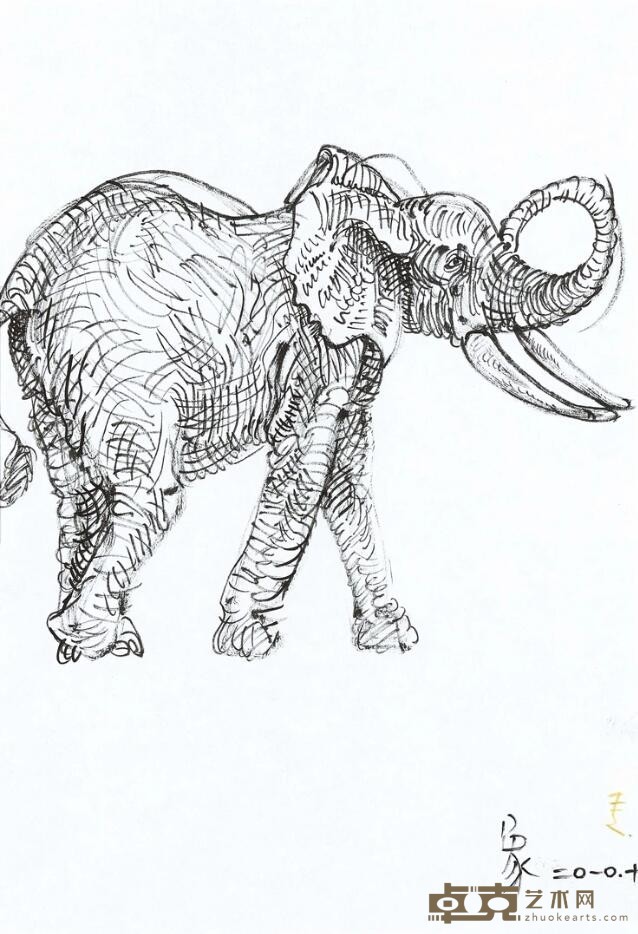 《大象》 常青 30x21cm 纸本线描