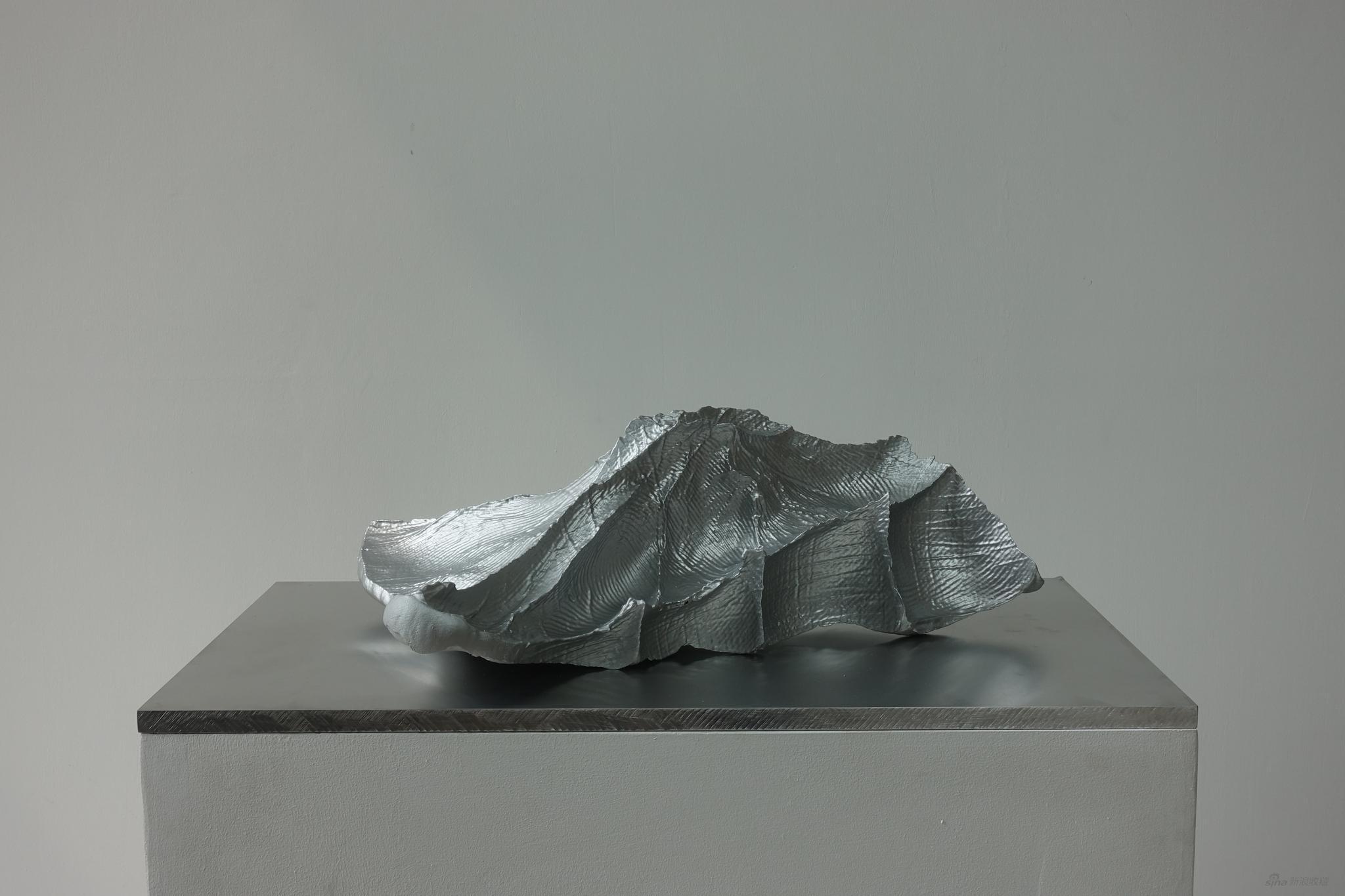 隋建国 云中花园-岛屿17#，光敏树脂3D打印，55x38x18cm，2013。