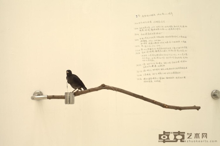 《你好》 刘斌 可变尺寸 2012年 桃木 金属 棉线 八哥