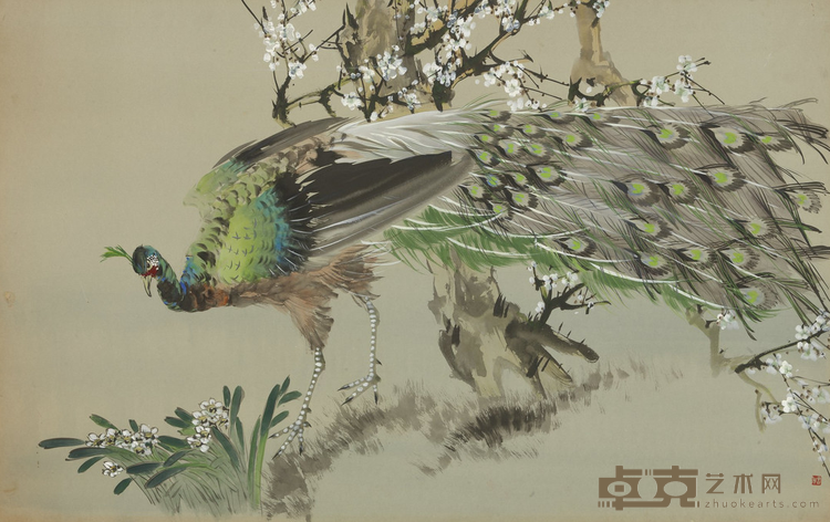 《孔雀》 张书旂 71x121cm