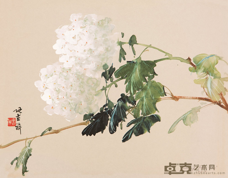 《白蕊图》 张书旂 28x35.5cm 1957年
