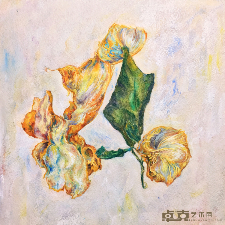 《橘子皮图》 惜童Arolikya 20x20cm 2018 纸本综合材料