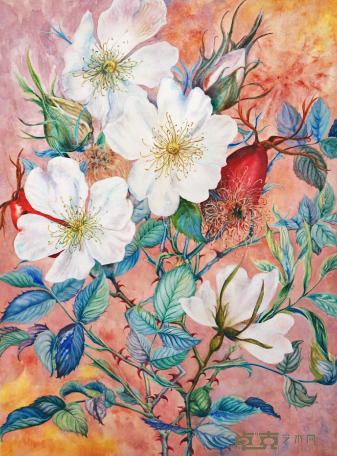 《强壮而柔软 美丽的美丽的犬蔷薇》 惜童Arolikya 60x45cm 2017 纸本水彩