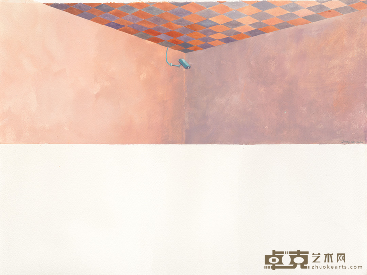 《动机》2 蒋正杨 56x76cm