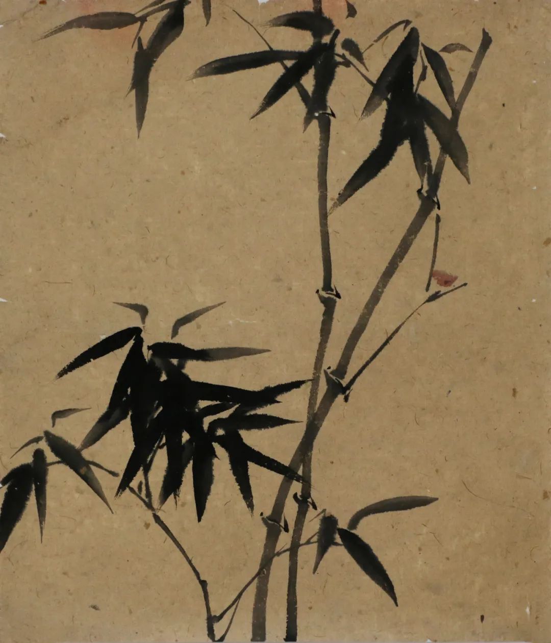  张肇铭  墨竹  1940年代 中国画  纸本42cmx35cm