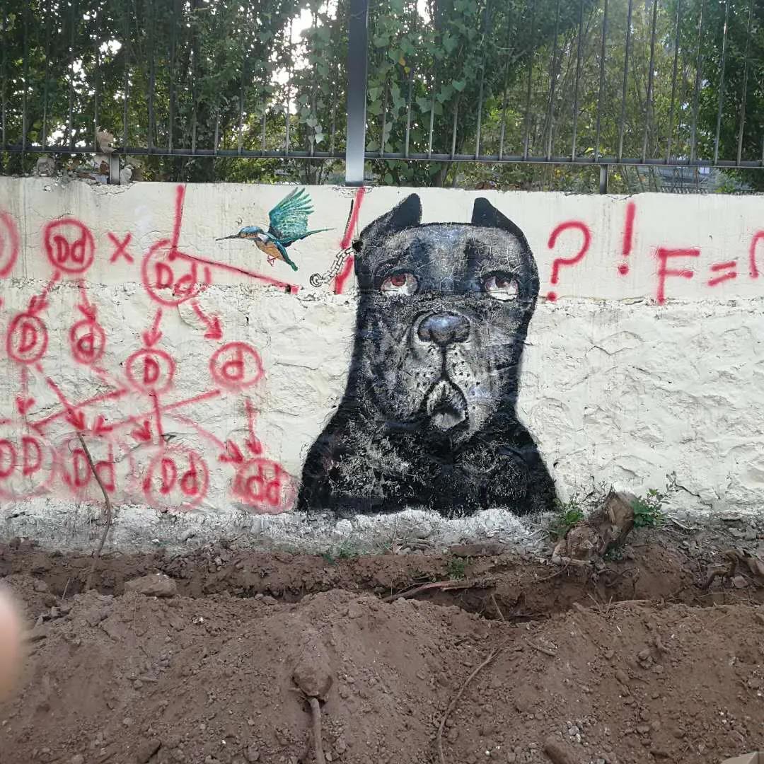 19