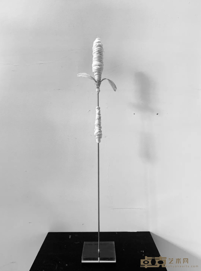 《立体实验作品04》 张天幕 80x16x9cm 2018年 材质铁丝网、棉绳