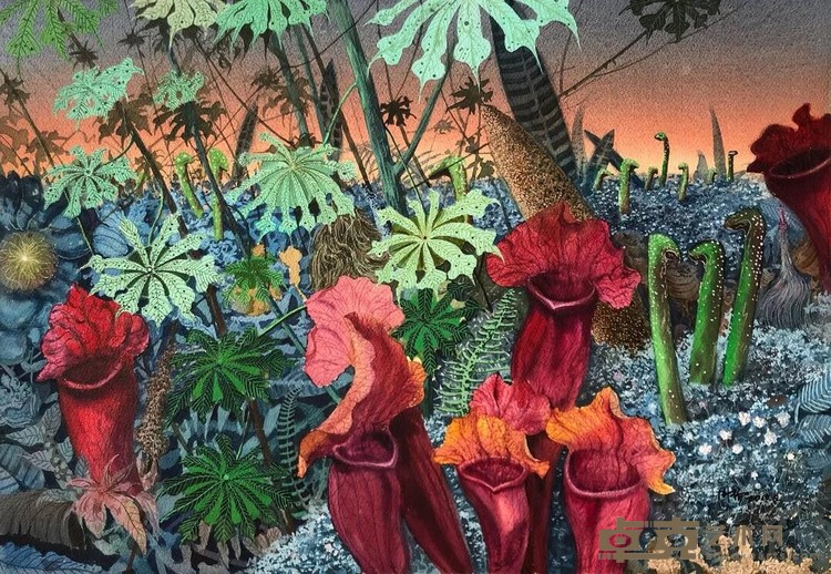 花花世界-千花韶梦 周扬 56x75cm 2019