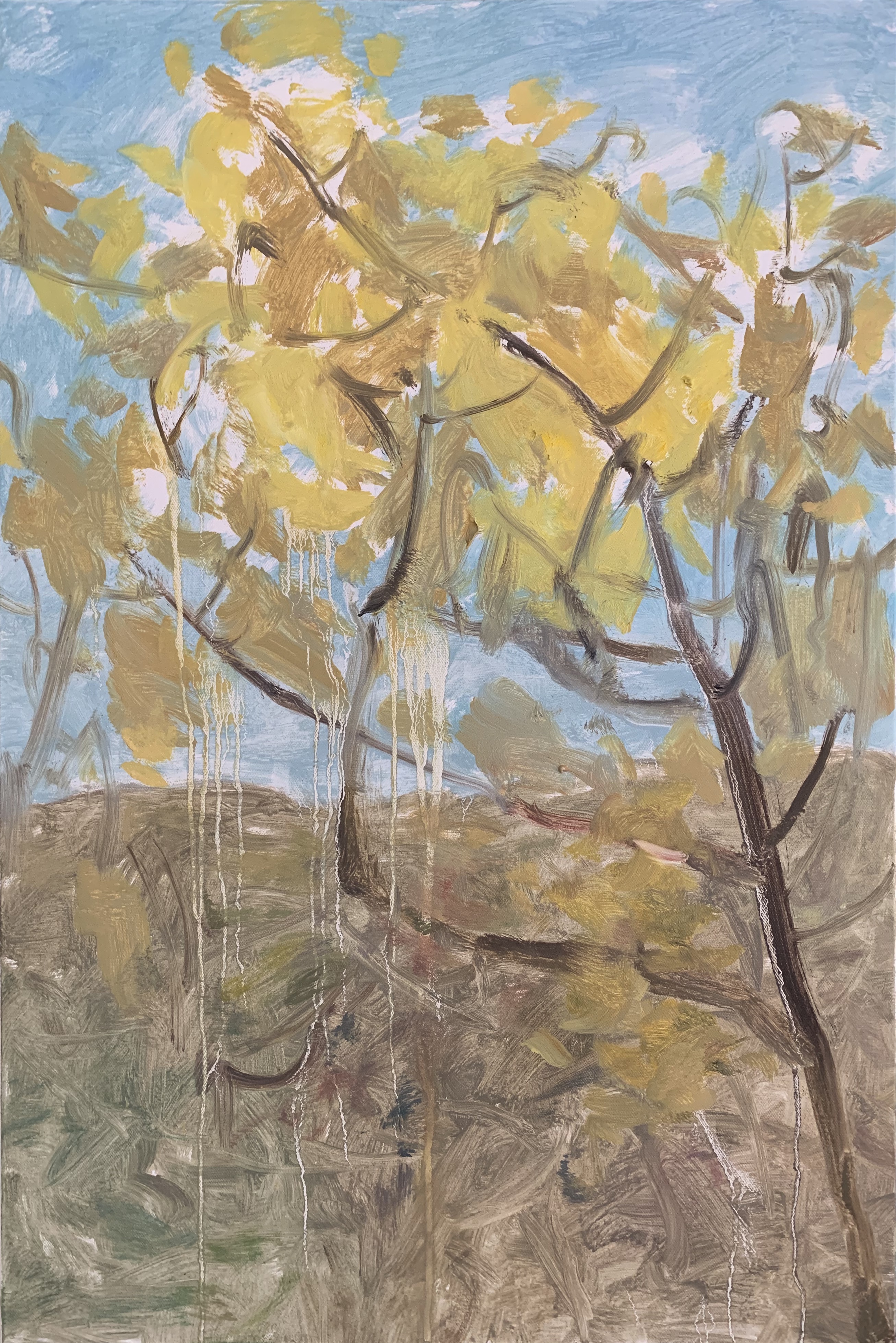 《秋韵系列NO.14》51 x76cm
