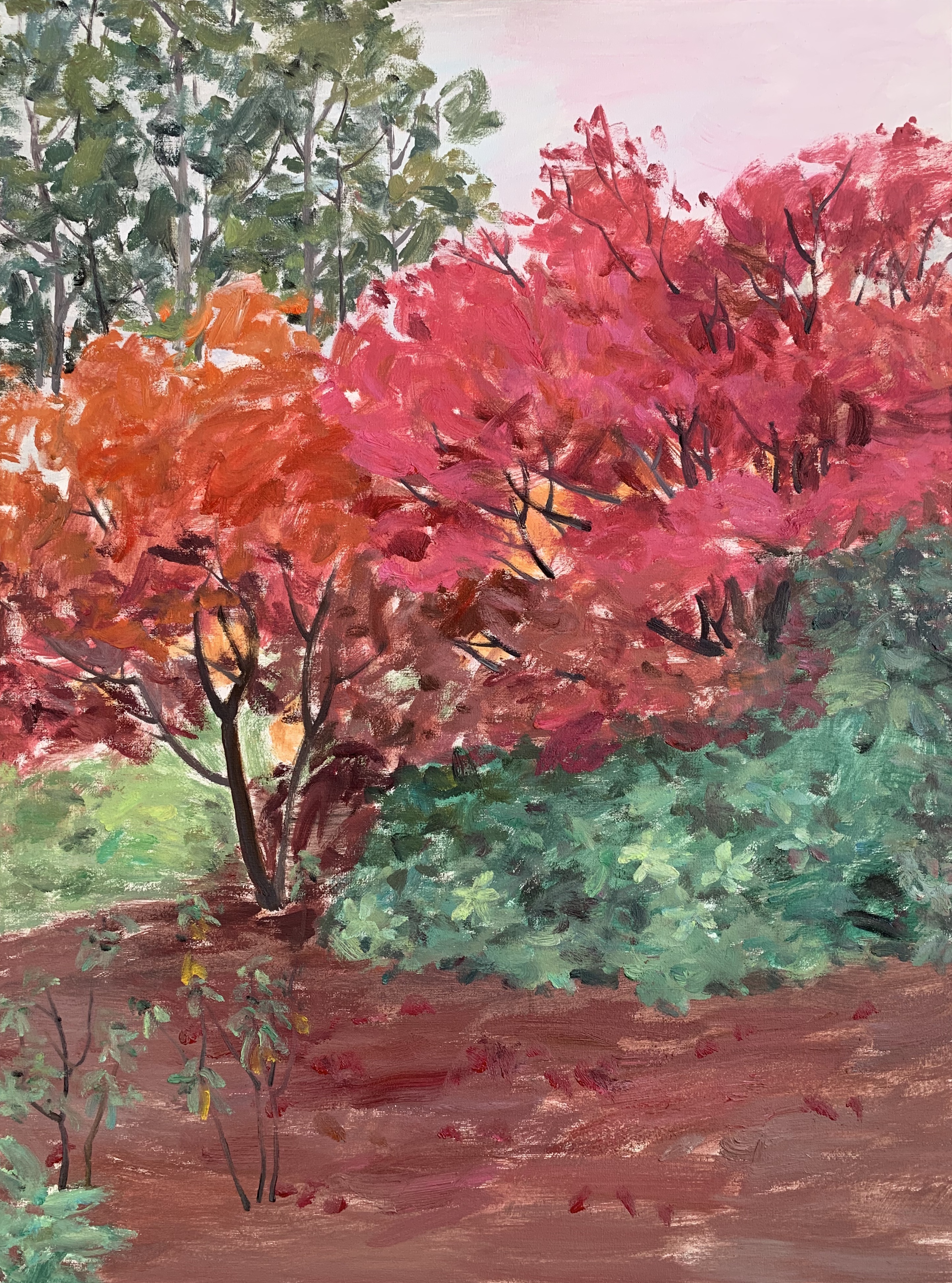 《秋韵系列 NO.27》60x80cm