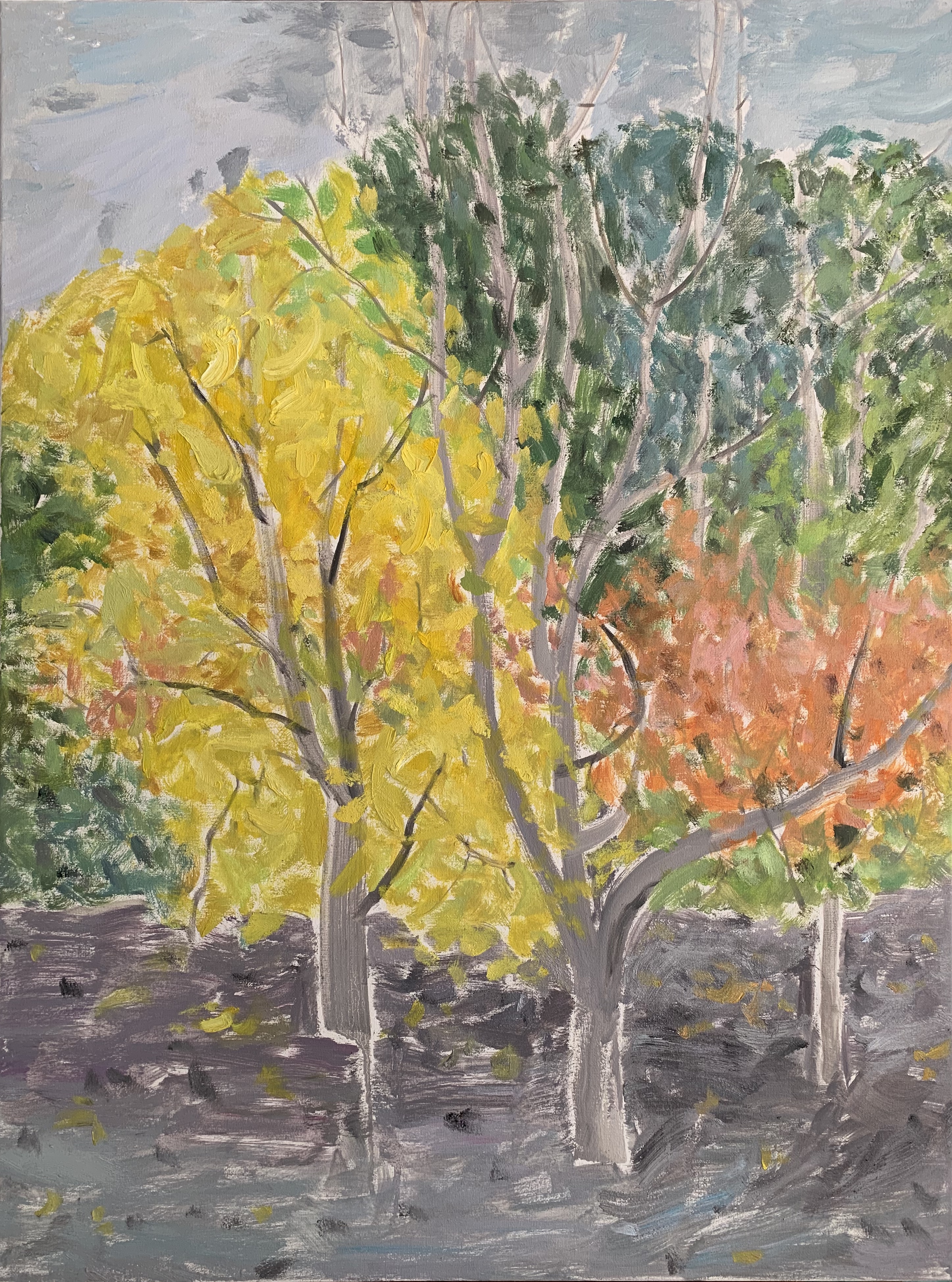 《秋韵系列NO.25》60x80cm