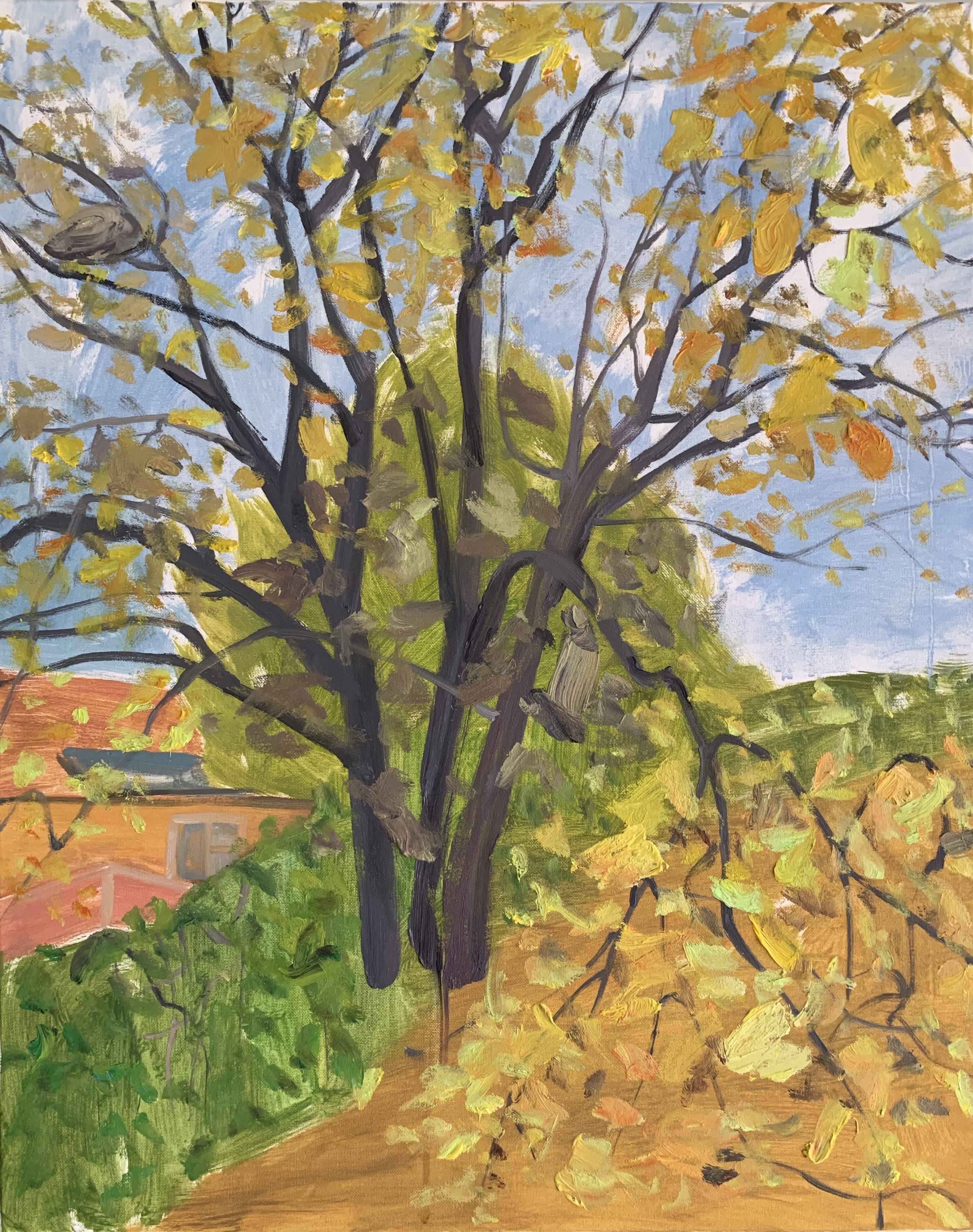 《秋韵系列NO.20》60x75cm