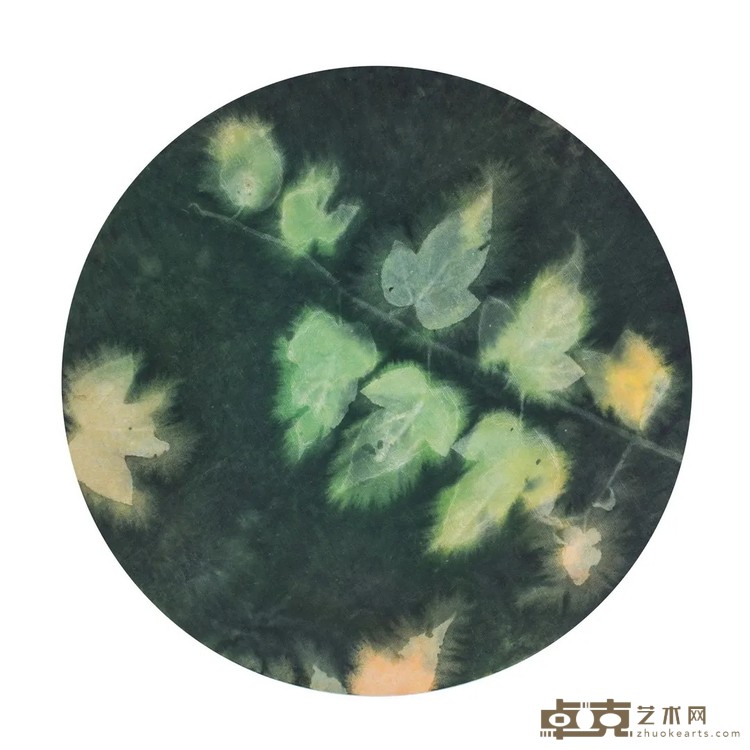 《杂草集-生长》 张明明 40x40cm 2019年 宣纸水墨