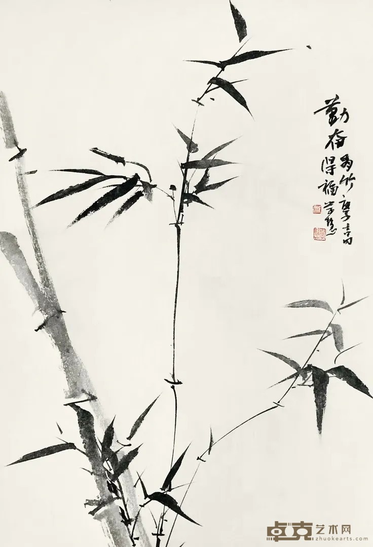 庚子春一日一茶 戚学慧