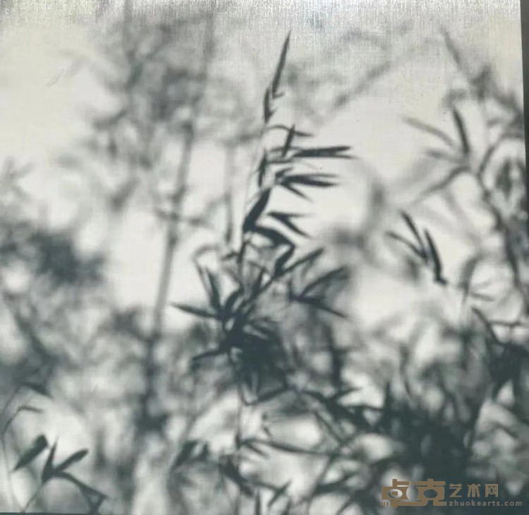 庚子春一日一茶 戚学慧